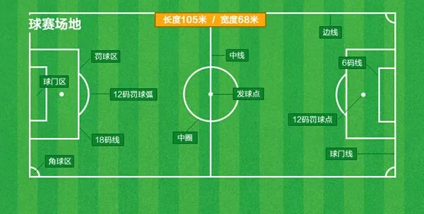 如何观看球赛