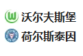 竞足分析 2025/1/25 3:30【周五004 德甲 沃尔夫斯堡VS基尔 】